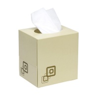 Value Maxima Cube Tissue Cream Box (Pack 24)