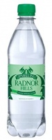 Radnor Hills Sparkling Water 500ml PK24 DD