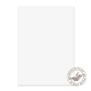 Premium Business A4 Brilliant Wove Paper 120gsm White PK50