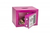 Phoenix cmpct Home Safe Electrnic Lock & dposit Slot Pink DD